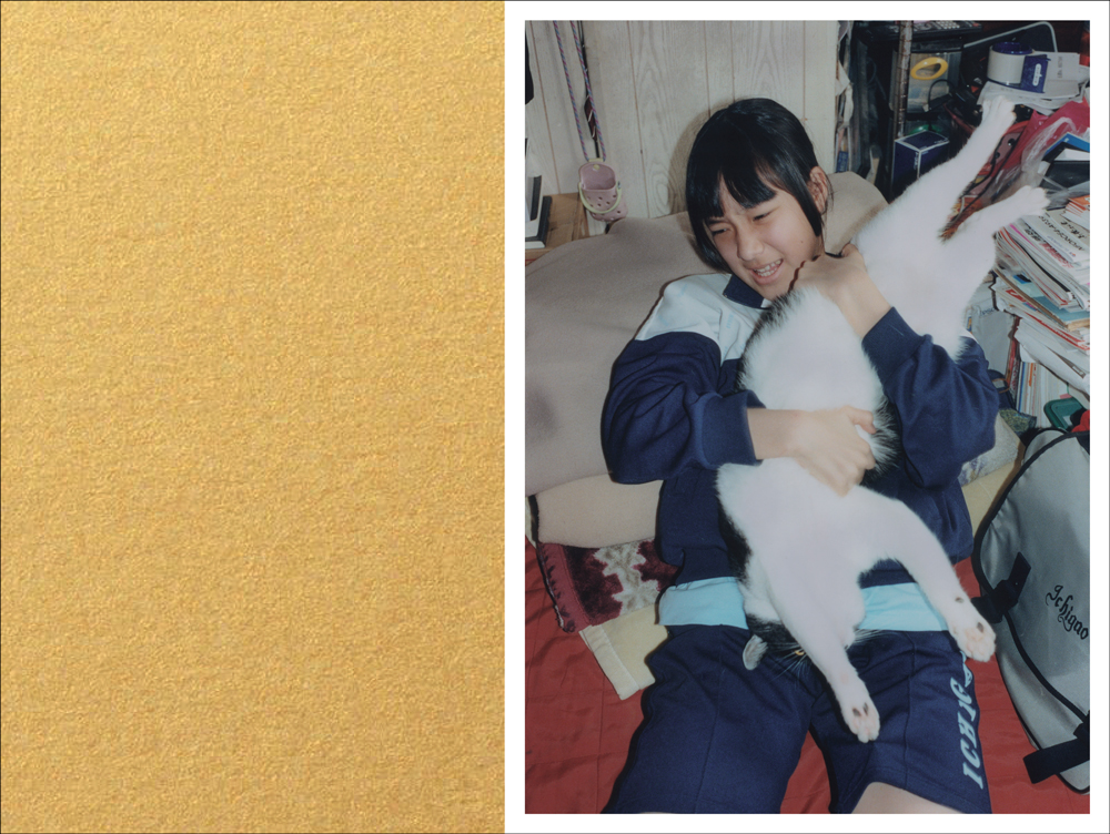 Hypermarché – Novembre: Photographs by Motoyuki Daifu With Poems 