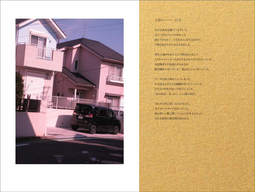 Hypermarché – Novembre: Photographs by Motoyuki Daifu With Poems 