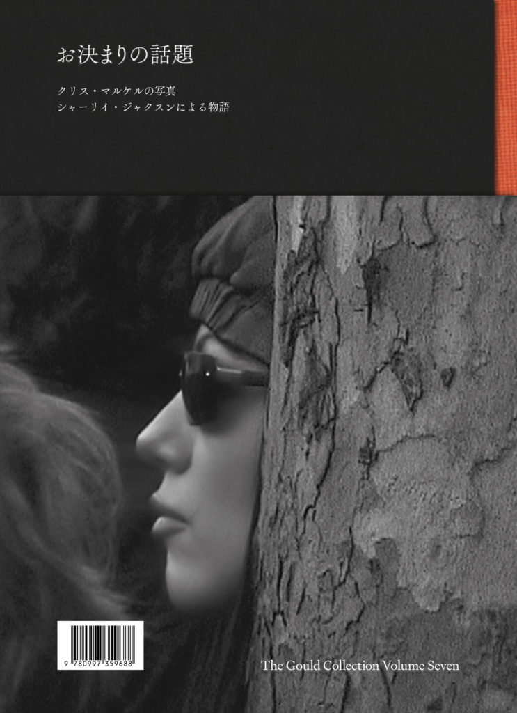 The Story We Used to Tell: Photographs by Chris Marker With a Story by Shirley Jackson